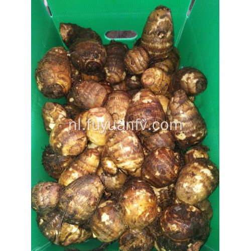 Verse grote taro in plastic doos van 9 kg